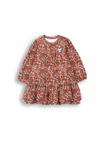 Coccodrillo Kleid in bunt