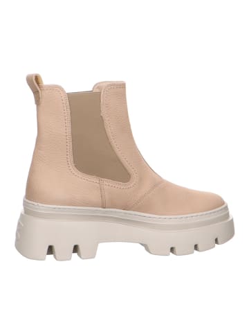 Paul Green Stiefelette in beige