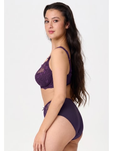 LINGADORE DAILY Slip Grape