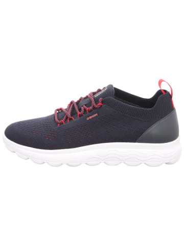 Geox Schnürschuh in blau