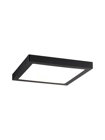 paulmann LED Panel Abia eckig 22W in Schwarz matt