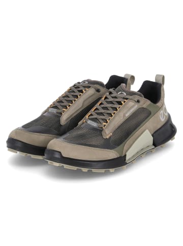 Ecco Low Sneaker BIOM 2.1 X MOUNTAIN M in Grün