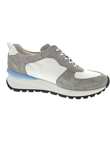 WALDLÄUFER H-Carolin Schnürer Grau