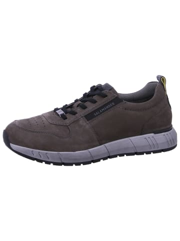 SALAMANDER Sneaker Bamberg in Grau