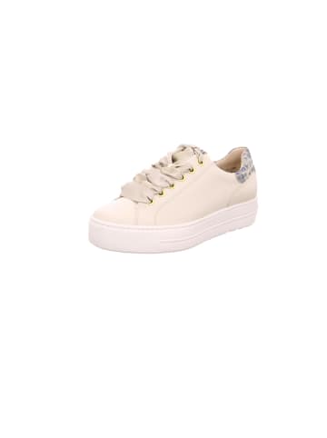 Paul Green Sneaker in creme
