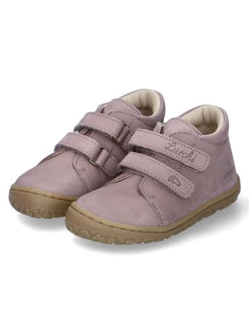 Lurchi Lauflernschuhe NELTO  in Taupe