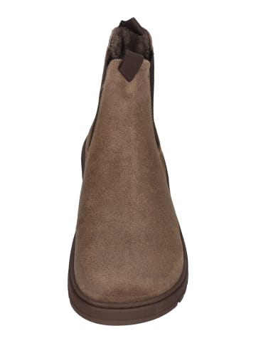 KOEL Chelsea Boots GAVIEN SUEDE WOOL in grau
