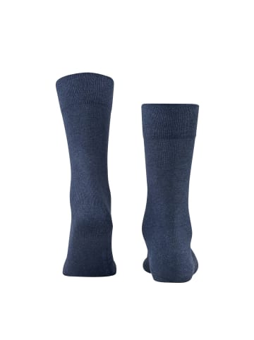 Falke Socken 1er Pack in Blau