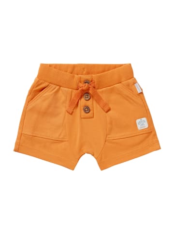 Noppies Shorts Branch in Tangerine