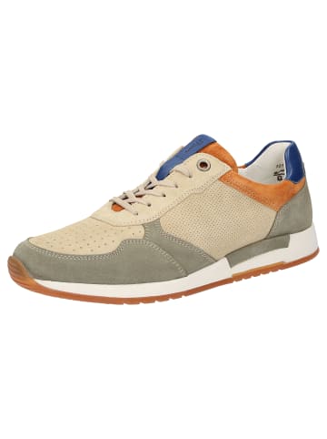 Sioux Sneaker Rojaro-718 in mehrfarbig