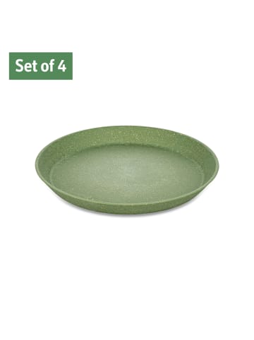 koziol CONNECT PLATE 205mm - Kleiner Teller 205mm in nature leaf green