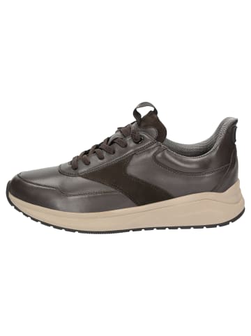 Sioux Sneaker Tasulio-703-J in dunkelbraun