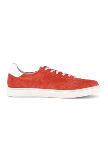 Gabor Sneaker low in orange