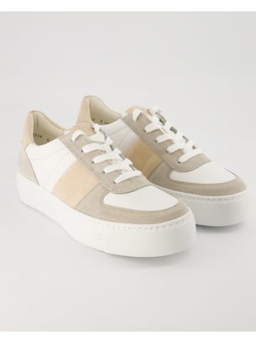 Paul Green Sneaker low in Beige