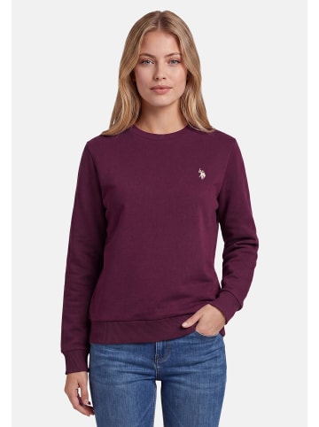 U.S. Polo Assn. Pullover USZoee – Damen Sweatshirt mit Rundhalsausschnitt in Prune-Beige
