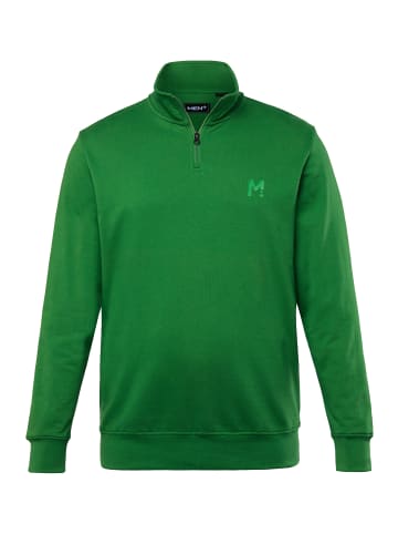 Men Plus Sweatshirt in hellgrün