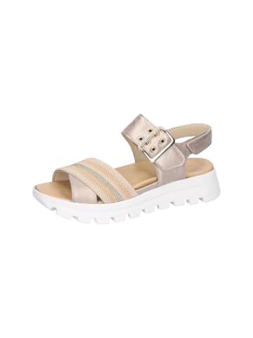 WALDLÄUFER H-Nele H-Nele in stein