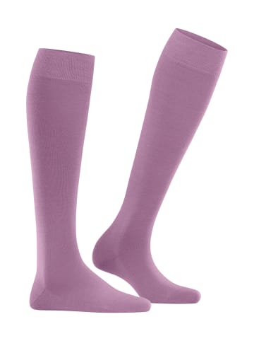 Falke Kniestrümpfe Softmerino in Blush