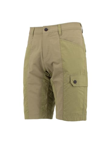 Jack Wolfskin Hose Dawson Lake Flex Cargo Shorts in Grün