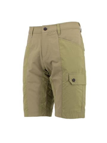 Jack Wolfskin Shorts Dawson Lake Flex Cargo in Grün