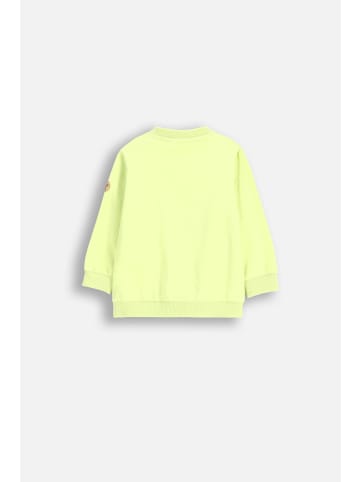 Coccodrillo Langarm-T-Shirt in limonengrün