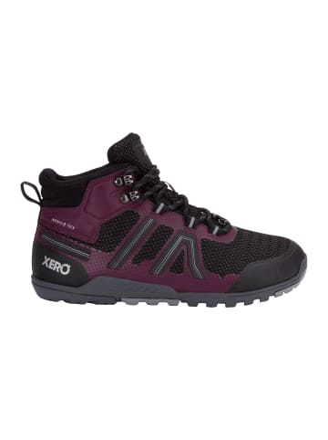 Xero Shoes Ankleboots Xcursion Fusion in VIOLETT