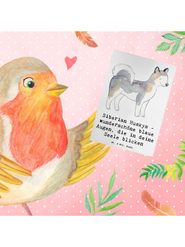 Mr. & Mrs. Panda Klappkarte Siberian Husky Augenzauber mit Spruch in Weiß