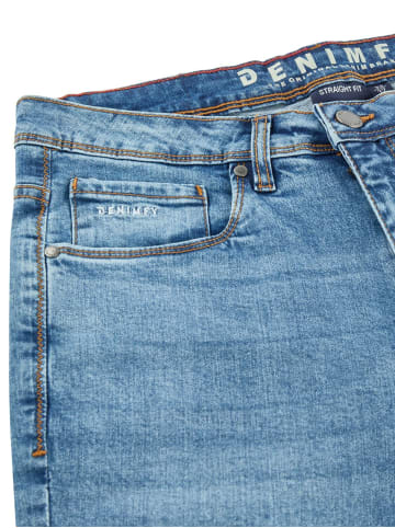 DENIMFY Jeans DFMiro regular/straight in Blau