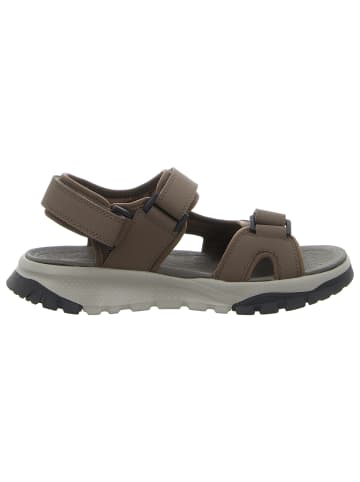 Skechers Sandale in braun