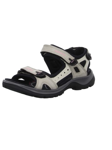 Ecco Outdoorsandalen Offroad in atmosphere/ice