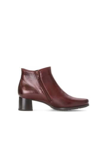 Gabor Ankle Boots in rot
