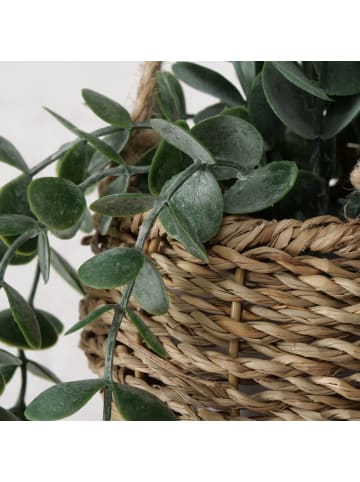 Boltze Künstliche hängende Pflanze Eukalyptus in Mehrfarben, 78 cm