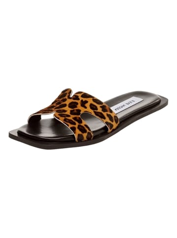 Steve Madden Pantoletten in Leopard