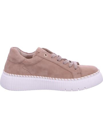 Gabor Sneaker  in Beige