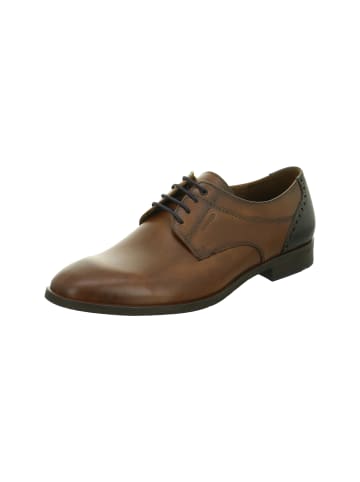 LLOYD Business Schuhe für Herren in braun in braun