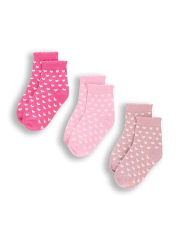 Coccodrillo Socken in bunt