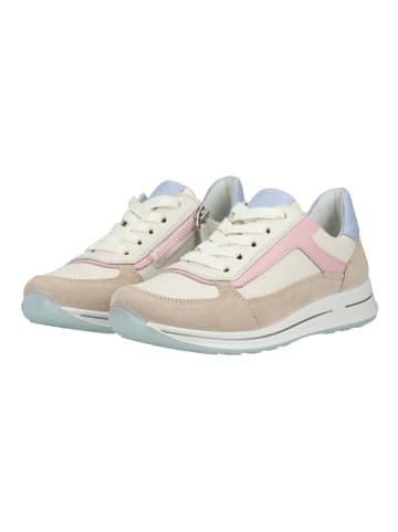 ara Sneaker in Beige/Pink