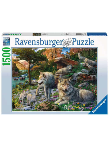 Ravensburger Puzzle 1.500 Teile Wolfsrudel im Frühlingserwachen Ab 14 Jahre in bunt