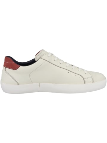 Dockers by Gerli Sneaker low 50UD001 in weiss