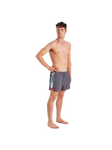 Munich Badeshorts in Gray