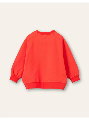 Oilily Hogo-Pullover in Rot