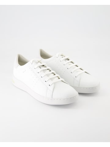 Geox Sportliche Schnürschuhe in Weiß