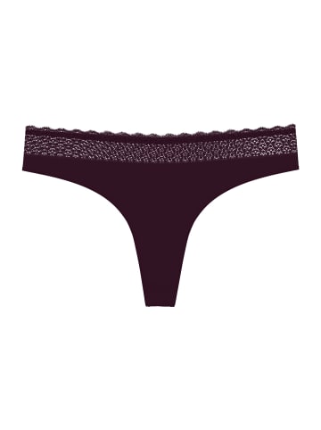 Triumph String Red Label Feel of Modal in CLARET