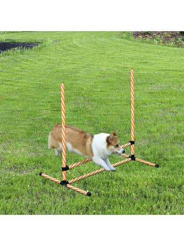 Pawhut Hunde Agility Set Orange Kunststoff