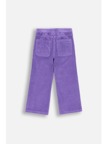 Coccodrillo Kordhose in violett