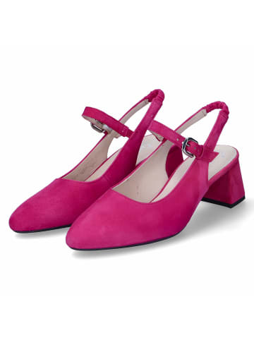 Gabor Slingpumps in Rosa