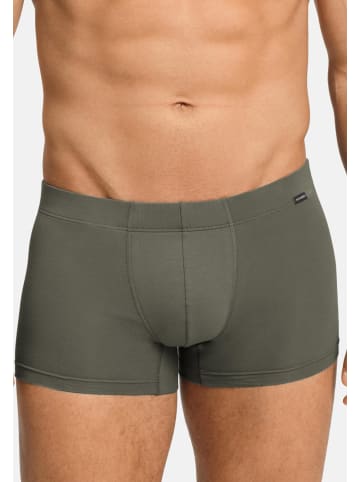 Hanro Retro Short / Pant Cotton Essentials in Charcoal art / smokey olive