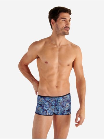 HOM Trunk Barrett in blue print