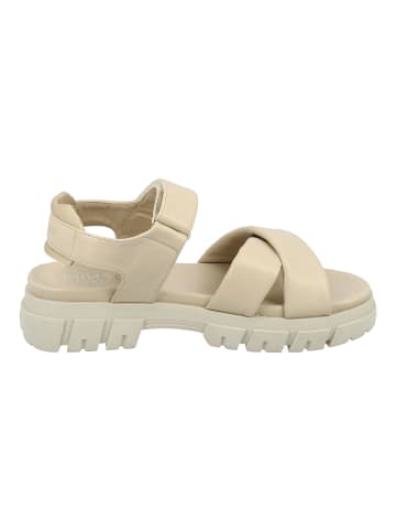 Tom Tailor Sandalen in Cream