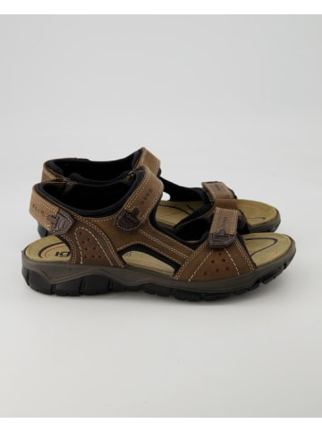 Igi&Co Sandalen in Braun